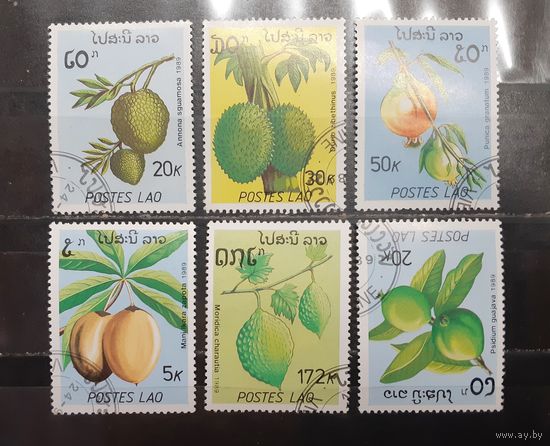 Лаос. 1989 год. Флора. Плоды (1303)