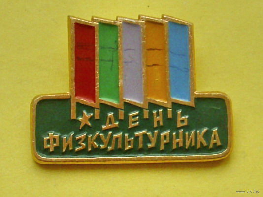 День физкультурника. 242.
