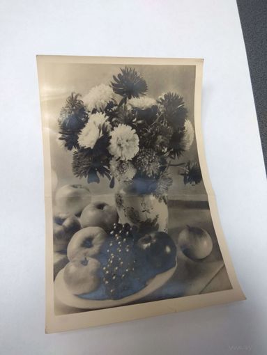 Фотооткрытка. 1956