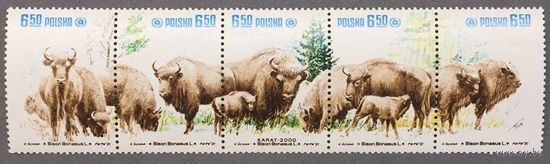 Польша 1981г бизоны