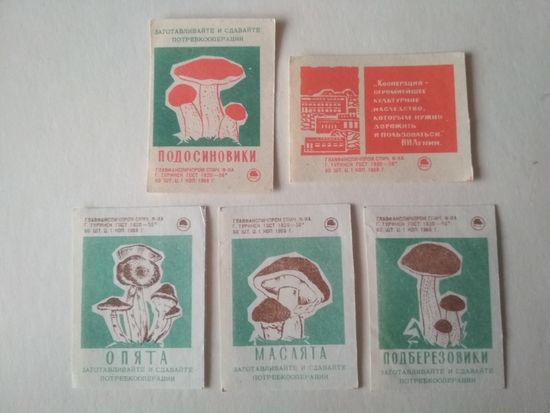 Спичечные этикетки ф.Туринск. Потребительская кооперация. 1968 год