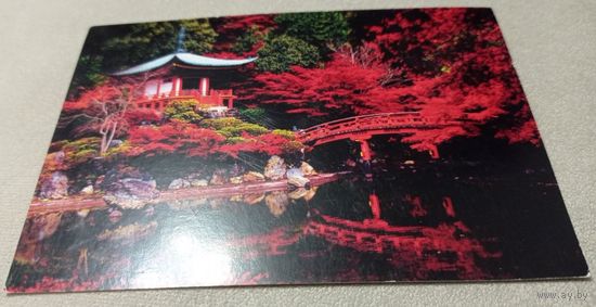 Посткроссинг. Открытка. Прошла почту. Редкий штемпель Орши.