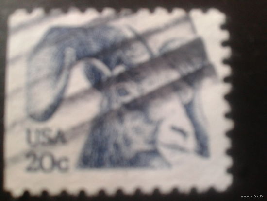 США 1982 стандарт, козел