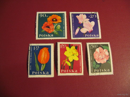 Марка Цветы 1964 год Польша
