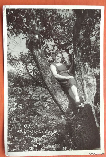 Фото девушки на дереве. Сочи. Санаторий НКВД "Красный штурм" 1940 г. 12х18 см.