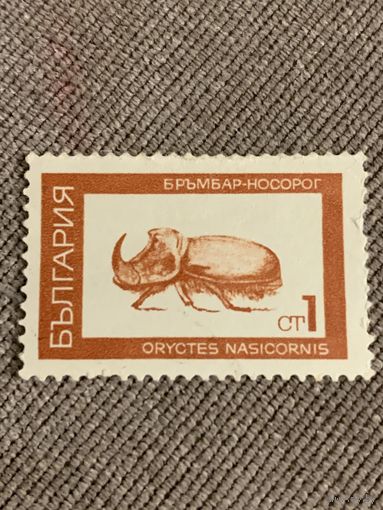 Болгария. Жук носорог