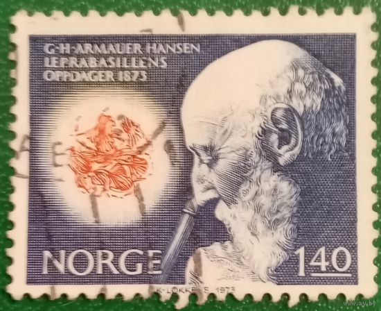Норвегия 1973. Учёный Герхард Хенрик Армауэру Хансен