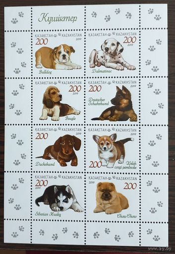 2019 Щенки Казахстан