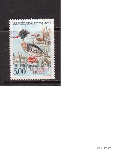 Франция-1994,(Мих.2936) ,  гаш.,  Фауна, Птицы