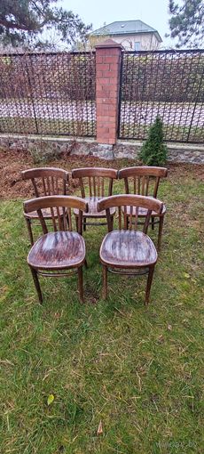 Стулья буковые СССР. Винтажные. 60-е годы