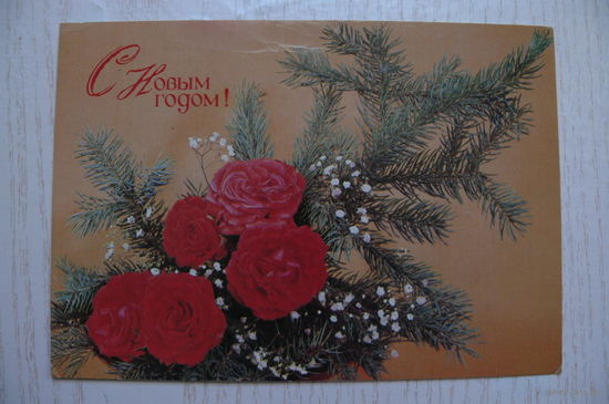 Мартьяхин С., Агладзе Н., С Новым годом! 1989, чистая.