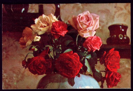 1970 год П.Смоляков С праздником 8 марта!