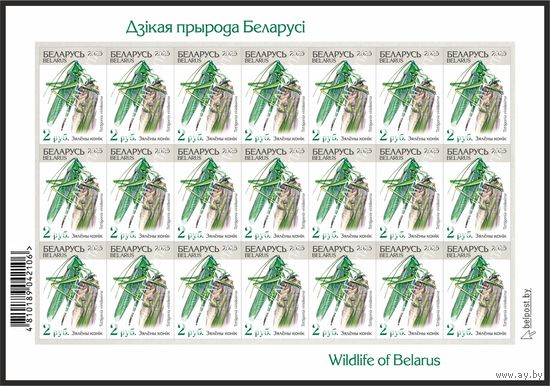 Беларусь 2025г 18-й стандартный выпуск. Зялёны конiк (самокл. )MNH