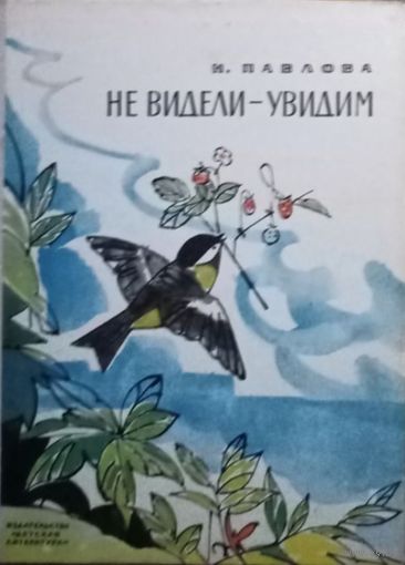 И. Павлова, Не видели - увидим