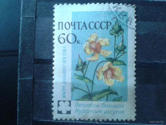 1960 Зверобой с клеем без наклейки