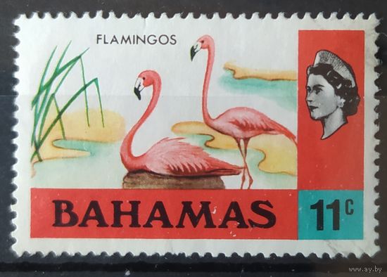 Багамы 1971  птицы, фламинго 1 из 15 .