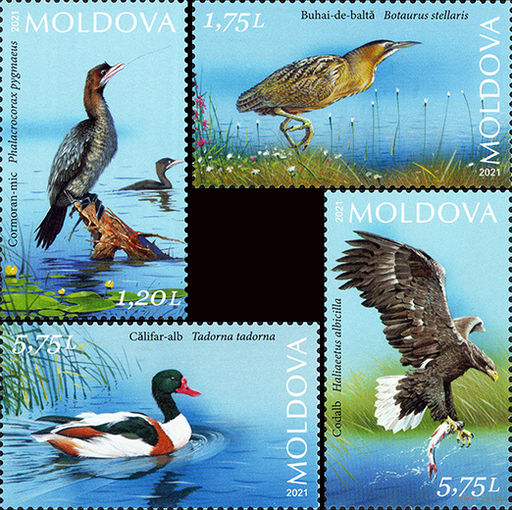 Молдова 2021. Фауна. Птицы заповедник 4 марки  (779)