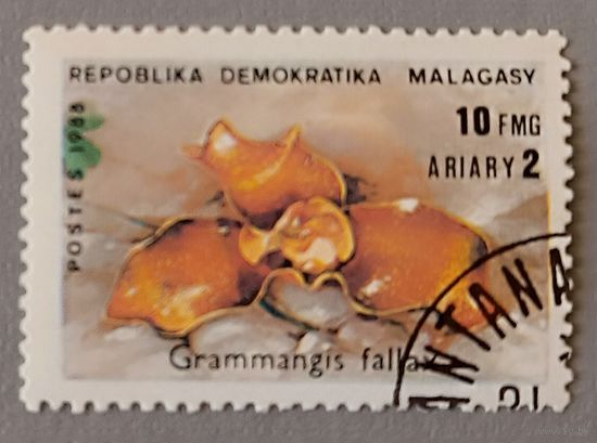 Орхидея. Мадагаскар, 1988