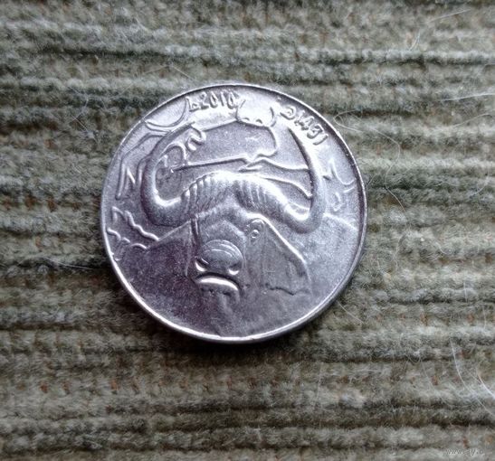 Werty71 Алжир 1 динар 2010 Буйвол