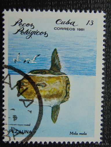 Куба 1981г. Фауна.