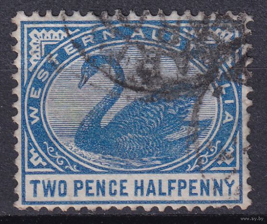 149а.Aust. Великобритания. Австралийские штаты. Западная Австралия. Чёрный лебедь. Стандарт. 1890/93 гг. 2 1/2p. Mi.#36.