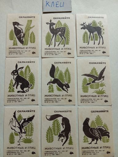 Спичечные этикетки ф.Барнаул. Охраняйте животных и птиц. 1968 год