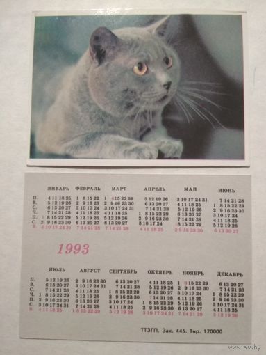 Карманный календарик. Котик. 1993 год