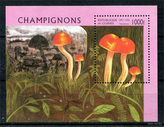 Гвинея - 1996г. - Грибы - полная серия, MNH [Mi bl. 505] - 1 блок