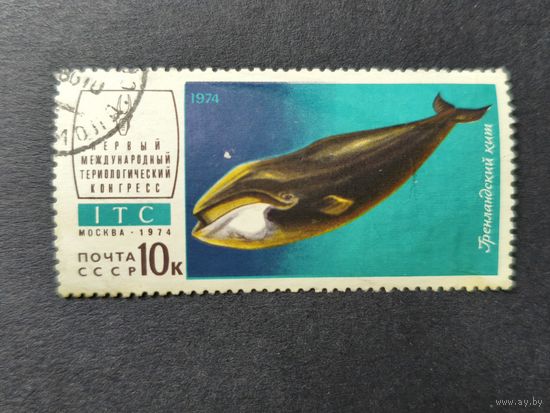 1974 СССР. 1-й Международный териологический конгресс. Гренландский кит