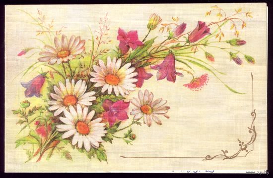 1988 год Л.Бодрихина