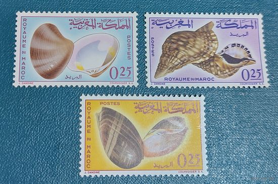 Марокко 1965 Морская фауна