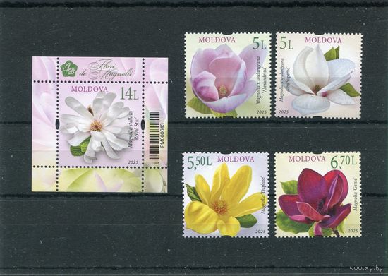 Молдавия 2025. Фауна. Цветы. Магнолия