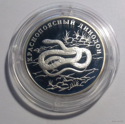 Россия 1 рубль 2007 год "Краснопоясный динодон"-серебро-