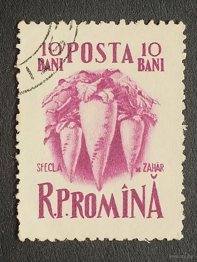 Румыния 1955. Растения
