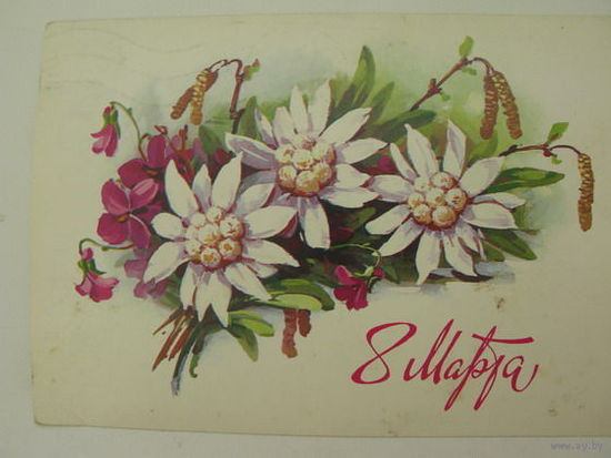 8 марта   1984г
