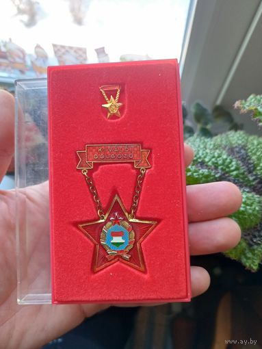 Медаль за отличную работу