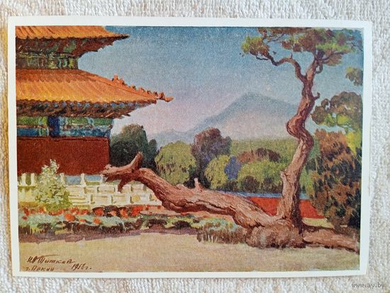 1959. Титков. Пекин. Дерево - дракон возле гробниц династии Мин