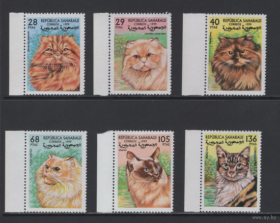 Фауна Кошки Сахара /Sahara 1999** Домашние животные