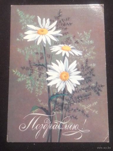 Поздравляю! Художник И.Можаева.