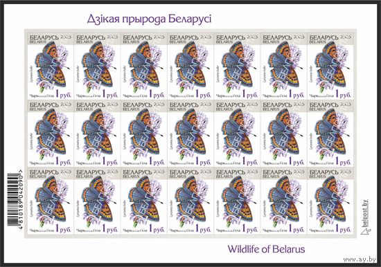 Беларусь 2025г 18-й стандартный выпуск. Чырвонец Гела (самокл. )MNH