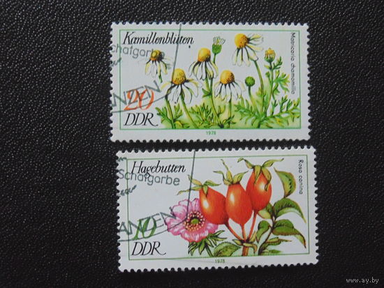 ГДР 1978 г. Цветы.
