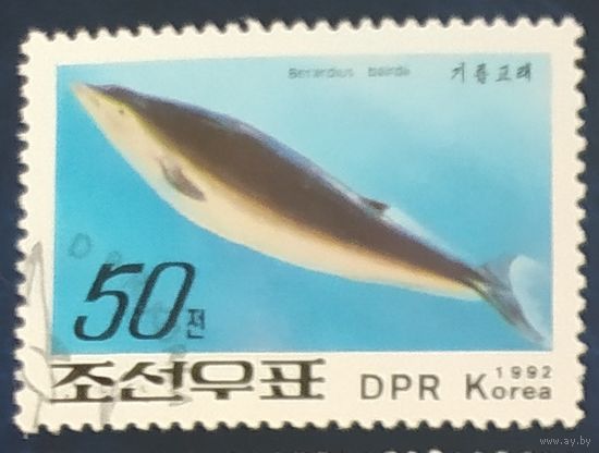 КНДР 1992 киты, животные моря 1 из 6.