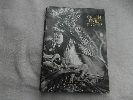 Вдовинский. Среди пущ и озер. Перевод с польского Надежда Ланьцут. Sport I Turystyka. Варшава Спорт и туризм 1956г.