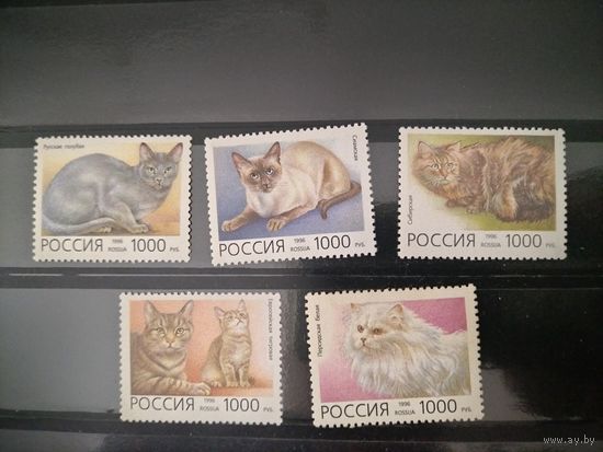 Россия 1996г. Фауна. Домашние кошки.
