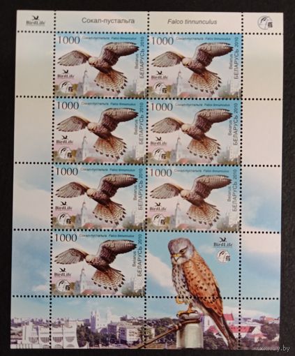 Марки Беларуси 2010 года чистый лист Птица года, Обыкновенная Пустельга, фауна,  КМ 824 каталог3 евро