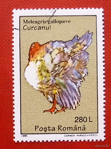 Румыния. ( 1 марка ) 1995 года.