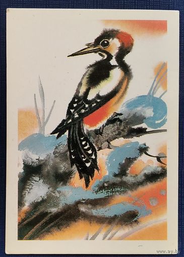 Каневский В. Дятел. 1985 г. Мини. Чистая
