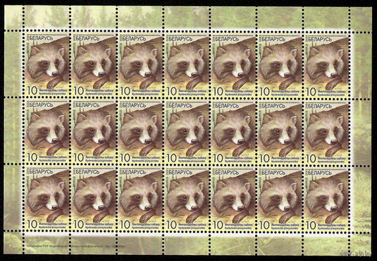 Беларусь. 2008. Стандарт. Енотовидная собака (10р) (з.133-2009) Лист