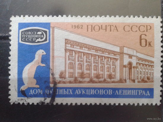 1962 Пушной аукцион, соболь
