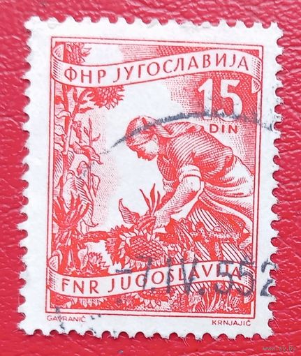 Югославия, 1951 г., стандартный выпуск